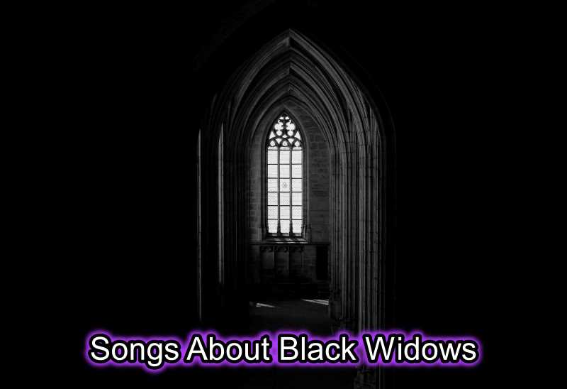 Songs About Black Widows
