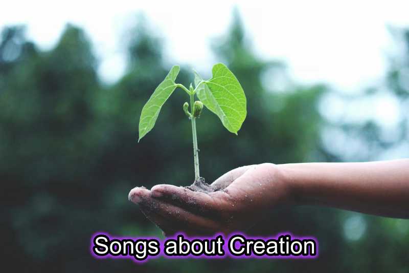 songs about creation